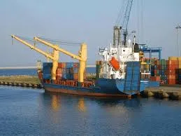 LoLo (Lift-on/Lift-off) Container Ships